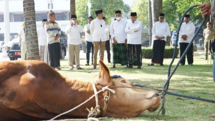 Bupati Malang, Sanusi Minta Peternak Kuat Hadapi Wabah Penyakit Mulut dan Kuku (PMK)