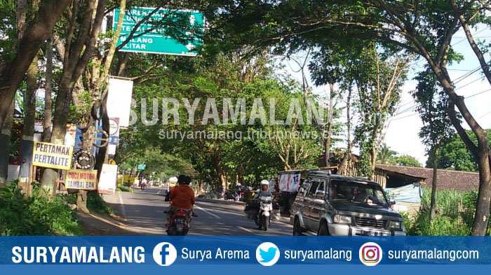Dishub Kabupaten Malang Koordinasi dengan Instansi Terkait untuk Pembersihan Dahan Pohon