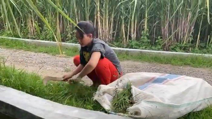 Happy Asmara Anti Gengsi Meski Sudah Jadi Pedangdut Top, Tak Malu Ngarit Cari Rumput 