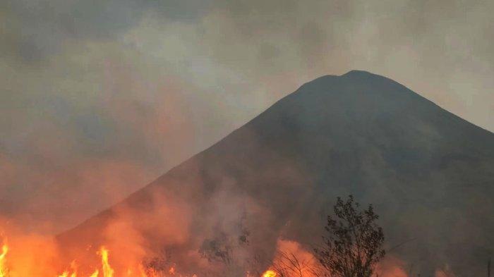 Cara Pemkot Batu Antisipasi Kebakaran Hutan dan Kekeringan Dampak El Nino