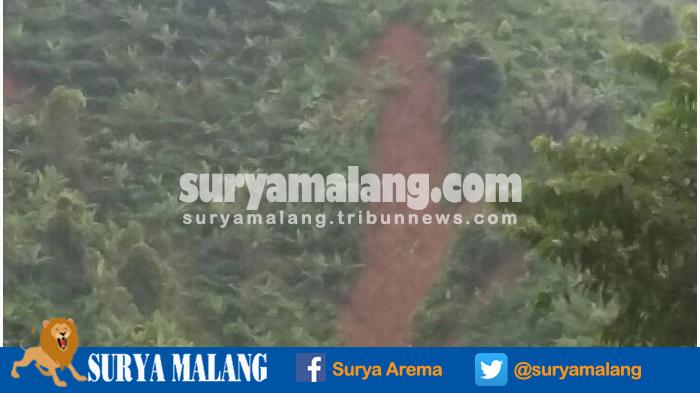 Kerusakan Hutan Jadi Pemicu Banjir di Desa Pujiharjo Kabupaten Malang
