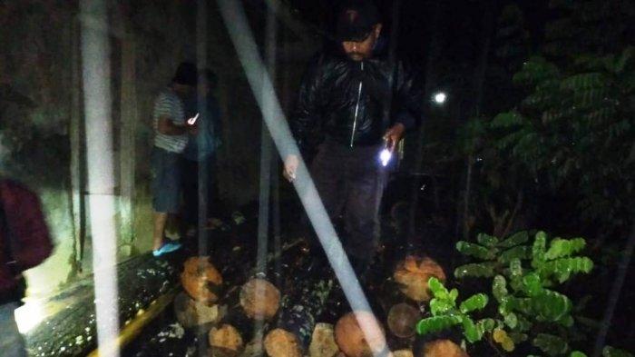Sumarji Sendirian Curi 35 Pohon Pinus di Hutan Wilayah Desa Wonoagung Kecamatan Tirtoyudo, Malang