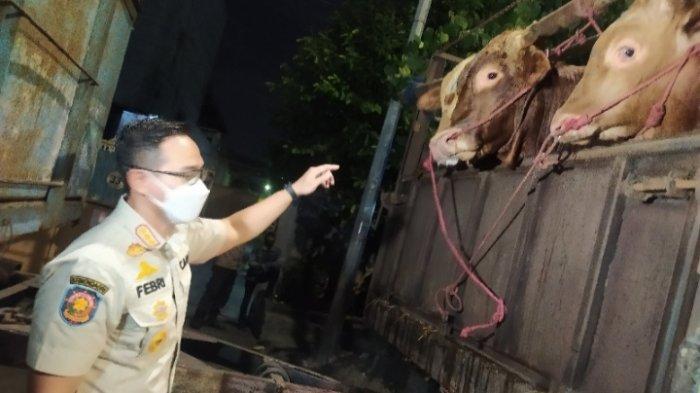 Pemkot Surabaya Perketat Pengawasan Distribusi Hewan Ternak di Perbatasan