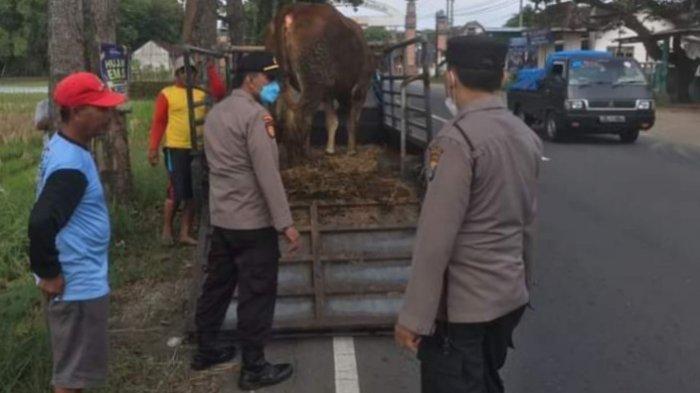 Petugas Gabungan Sekat Pengiriman Hewan Ternak di Perbatasan Tulungagung-Kediri