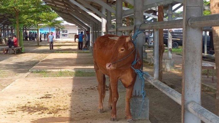 Disnak Keswan Tulungagung Alihkan Bantuan Ternak untuk Pelatihan dan Pengadaan Alat Peternakan