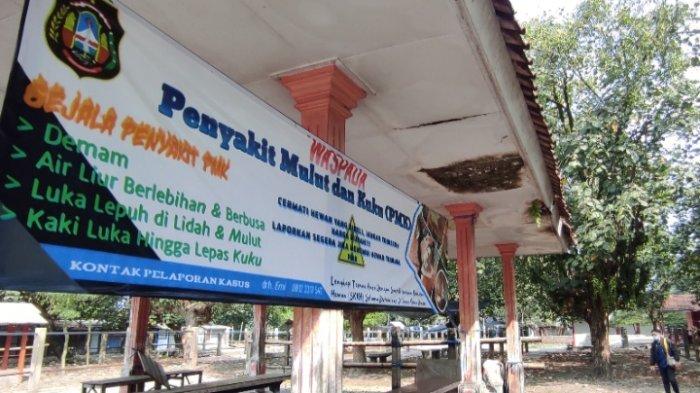 Kasus PMK Landai, Pemkot Blitar Belum Berencana Buka Kembali Pasar Sapi Dimoro