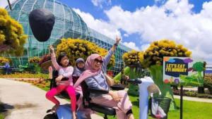 3-Spot-Foto-Instagrammable-di-Malang-Dijamin-Bagus-Banget-Ada-Omah-Kayu.jpg