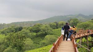 5-Rekomendasi-Wisata-Menarik-di-Malang-Cocok-Untuk-Healing-Bersama-Teman.jpg