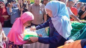 BERAS-sphp-gRATIS.jpg