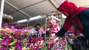 Batu-Shining-Orchids-Week-2025.jpg