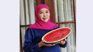 Dukung-Kemerdekaan-Palestina-Gubernur-Jatim-Khofifah-Indar-Parawansa-Bawa-Semangka.jpg