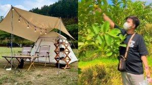 Harga-Tiket-Masuk-Agrowisata-Batu-Terbaru-2024-Petik-Buah-dan-Renang-Paket-Paling-Murah-Rp-15-Ribu.jpg