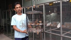 Harijono-saat-menunjukkan-sepasang-burung-perkutut-miliknya-yang-pernah-ditawar-hingga-Rp-160-juta.jpg