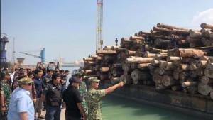 Illegal-Logging-Gresik.jpg