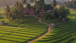 Inilah-10-Desa-di-Nias-Selatan-Sumatera-Utara-Terima-Dana-Desa-2025-Tertinggi-hingga-Rp11-M.jpg