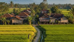 Inilah-6-Desa-di-Ogan-Komering-Ulu-Sumatera-Selatan-Terima-Dana-Desa-2025-Tertinggi-hingga-Rp16-M.jpg