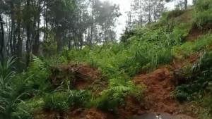 Jalur-Trenggalek-Tulungagung-tertimbun-tanah-longsor-di-Desa-Depok-Kecamatan-Bendungan.jpg