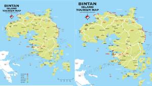 Kabupaten-Bintan-Provinsi-Kepulauan-Riau-dana-desa.jpg