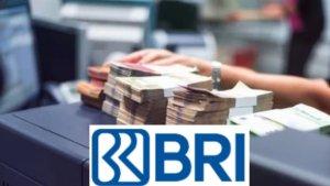 Perbedaan-KUR-BRI-2025-dan-KUPRA-program-pembiayaan-dari-pemerintah.jpg