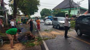angin-kencang-kabupaten-malang-28-Sept.jpg