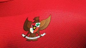 ilustrasi-timnas-indonesia_20160803_112049.jpg
