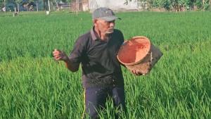 kuota-pupuk-ditambah.jpg