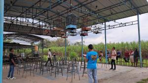 latihan-burung-di-gantangan-Paco-DFlash-Kecamatan-Kepanjen-Kabupaten-Malang.jpg