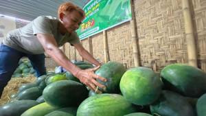 petani-semangka.jpg