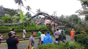 pohon-tumbang-yang-menimpa-rumah-warga-di-Desa-Modangan-Kecamatan-Nglegok-Kabupaten-Blitar.jpg
