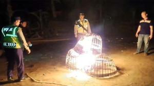 sabung-ayam-malang-bakar.jpg