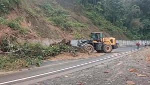 tanah-longsor-di-jalur-utama-LumajangMalang-via-Piket-Nol.jpg