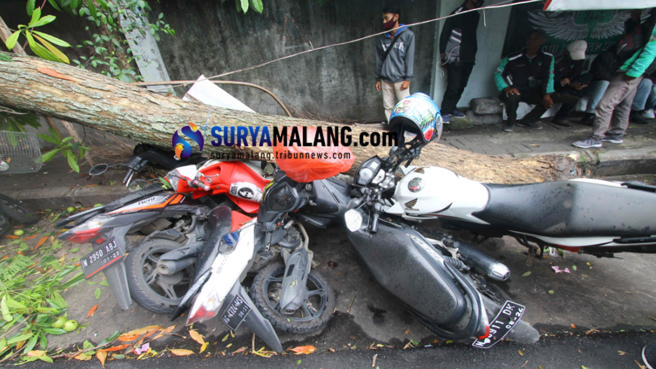 7-motor-tertimpa-pohon-malang.jpg