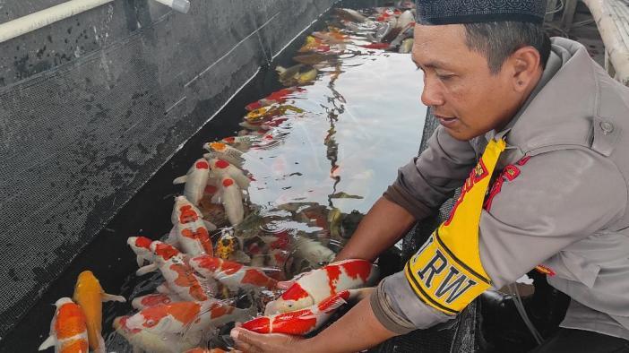 Aiptu-Anang-Riza-Pratama-Gus-Wo-ikan-koi-Desa-Bendosewu-Kecamatan-Talun-Kabupaten-Blitar.jpg