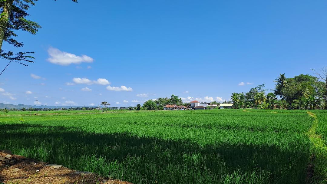 Alun-alun-Kepanjen-di-kawasan-Stadion-Kanjuruhan-Kabupaten-Malang-Kamis-752026.jpg