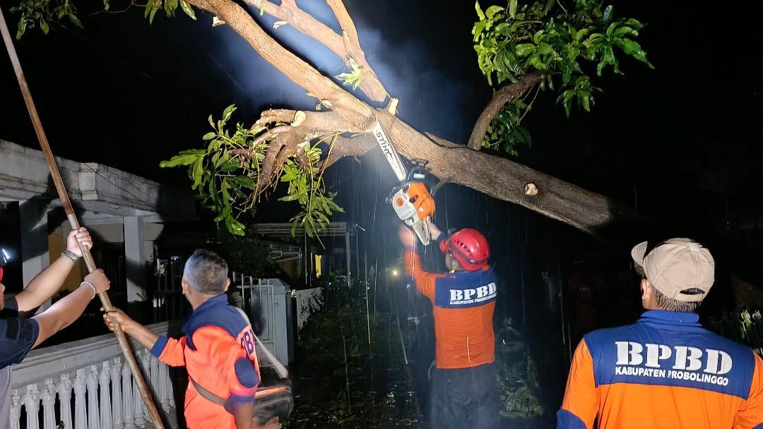 BPBD-Kabupaten-Probolinggo-bersama-pihak-terkait-dan-warga-saat-memotong-pohon-tumbang.jpg