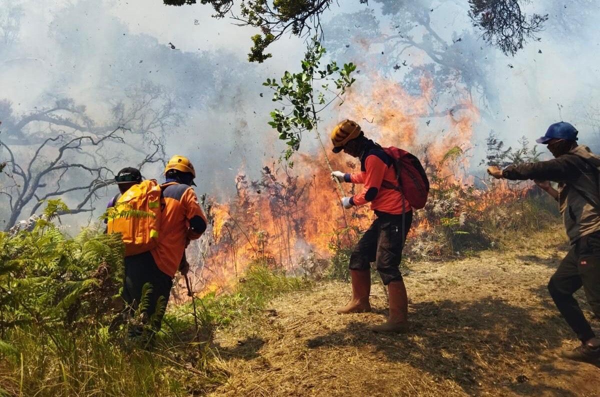 Musim Kemarau Panjang Mengancam Kota Batu, Hadapi Potensi Kekeringan hingga Kebakaran Hutan