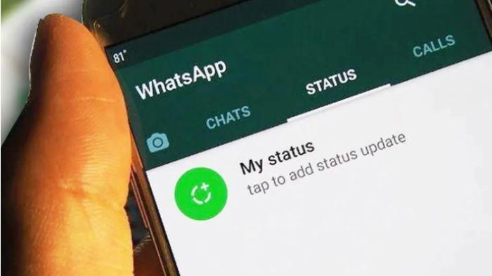 Cara Melihat Status WhatsApp Orang Lain Tanpa Ketahuan, Tidak Akan Diketahui Kalau Pakai Trik ini