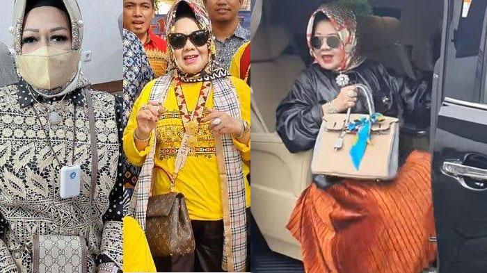 Daftar-Koleksi-Tas-Branded-Reihana-Kadinkes-Lampung-Harga-Ratusan-Juta-Padahal-Gaji-Cuma-Rp-5-Juta.jpg