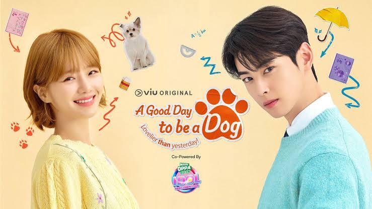 Drama-Korea-A-Good-Day-to-Be-a-Dog-Berapa-Episode-Simak-Sinopsis-dan-Link-Nonton-Sub-Indo.jpg