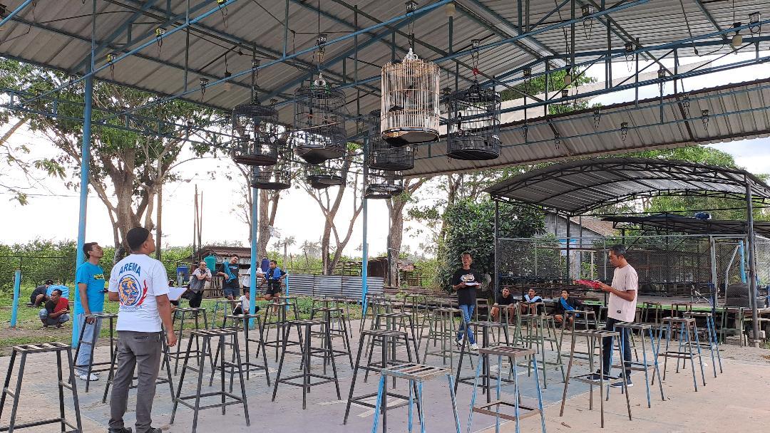 Wisata Kicau Mania Malang Raya, Gantangan Bisa Jadi Ladang Rezeki