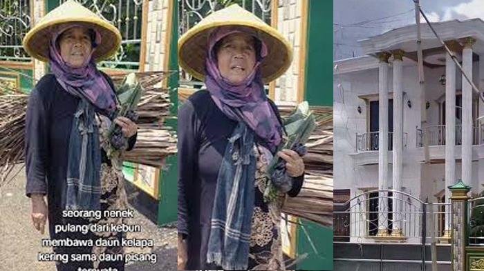 Harta-Kekayaan-Nenek-Bawa-Daun-Kelapa-Kering-Viral-Ternyata-Punya-Rumah-dan-Mobil-Mewah-di-Garasi.jpg