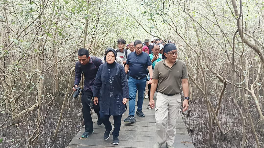 Hasto-Kristiyanto-Rocky-Gerung-Kebun-Raya-Mangrove-SurabayaTri-Rismaharini-Armuji.jpg