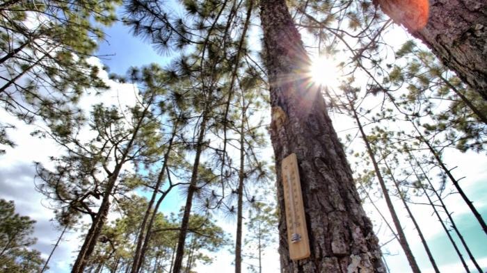 Suhu di Malang Hari Ini Minggu 10 Juli 2022: Terik hingga 29 Derajat Celcius, Cuaca Cerah Berawan