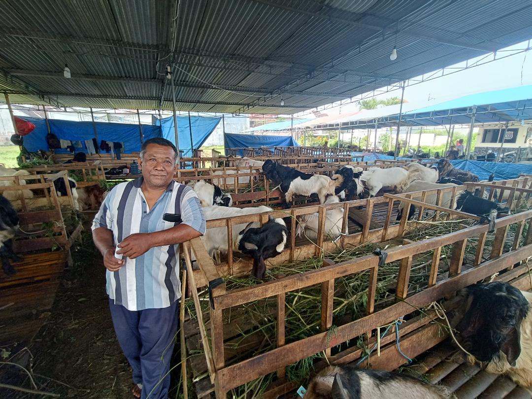 JAGA-KAMBING-Mujahidin-menjaga-kambing-miliknya-di-lapak-Jalan-Sulfat-Kota-Malang-Senin-25.jpg