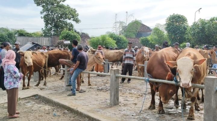 JUAL-BELI-Suasana-pasar-hewan-di-Tertek-Pare-Kediri-Minggu-1752026.jpg