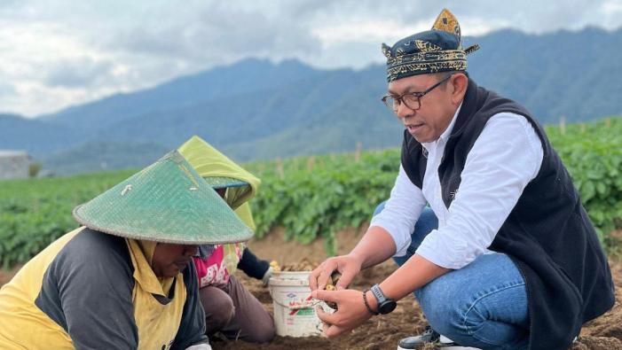 KOPERASI-MERAH-PUTIH-Wali-Kota-Batu-Nurochman-saat-panen-kentang-bersama-petani.jpg