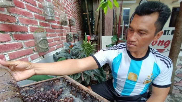 Kampung-Bongares-Blitar-wisata-hisap-madu-klanceng-langsung-dari-sarangnya.jpg
