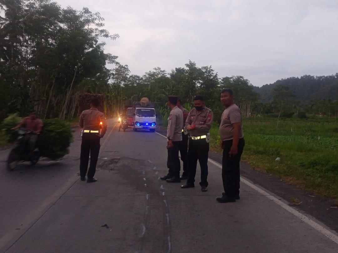 Kecelakaan di JLS Lumajang, Anggota Polres Jember Tewas Seusai Tabrak Truk, Luka Berat di Kepala