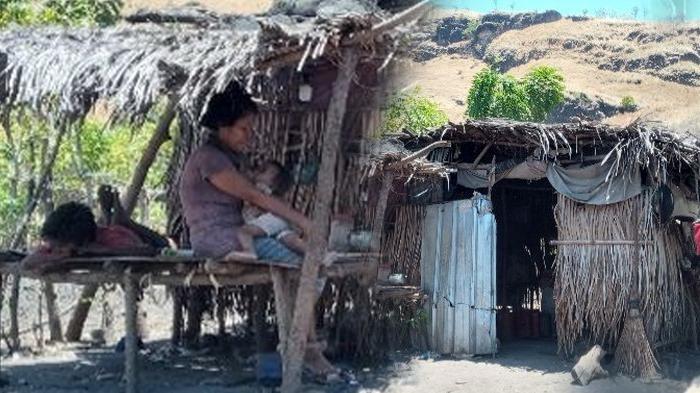 Kisah Pilu Ibu dan 4 Anaknya Tinggal di Gubuk Beratap Daun, Suami Meninggal, Rumah Sering Ambruk