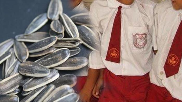 Kronologi 7 Siswa SD Dihukum Makan Kuaci dan Isinya di Lantai Pakai Mulut, Alasan Guru Bikin Geram